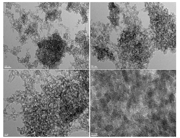 HR-TEM images of CLPPSiOr hybrid micro-nanocomposites prepared at room temperature