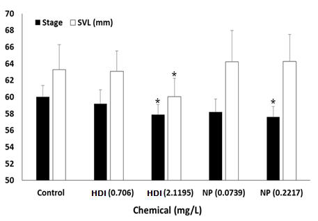 HDI-210과 NP의 변태교란효과에 대한 TG231 수행 결과