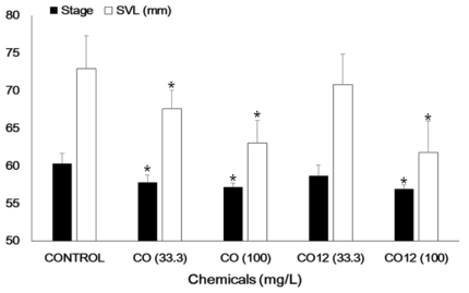CO와 CO-12의 변태교란효과에 대한 TG231 수행 결과