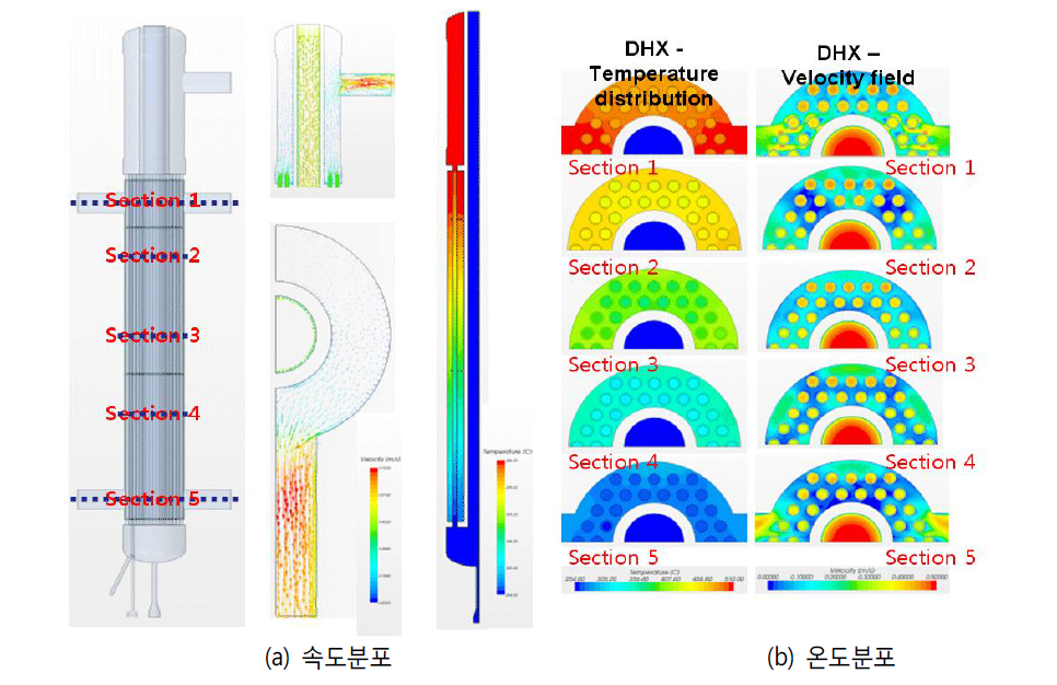 DHX 수평/수직단면에서의 속도 및 온도분포