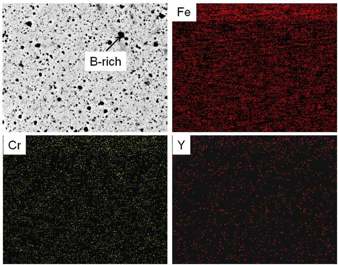 Fe-Cr-B-Y2O3 분말(B) 단면 조성분포