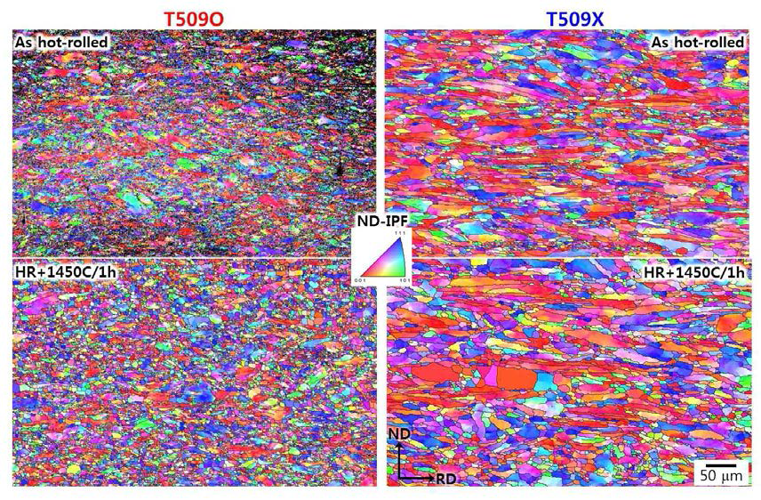EBSD 분석을 통해 얻은 65% 열간압연 및 이후 1450℃에서 1시간 동안 열처리된 T509O와 T509X합금의 IPF map