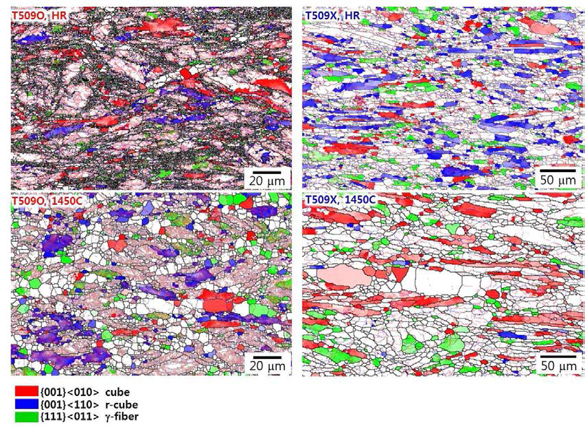 열간압연 및 1450℃에서 열처리된 T509O와 T509X 합금의 주 집합조직 성분 분포도