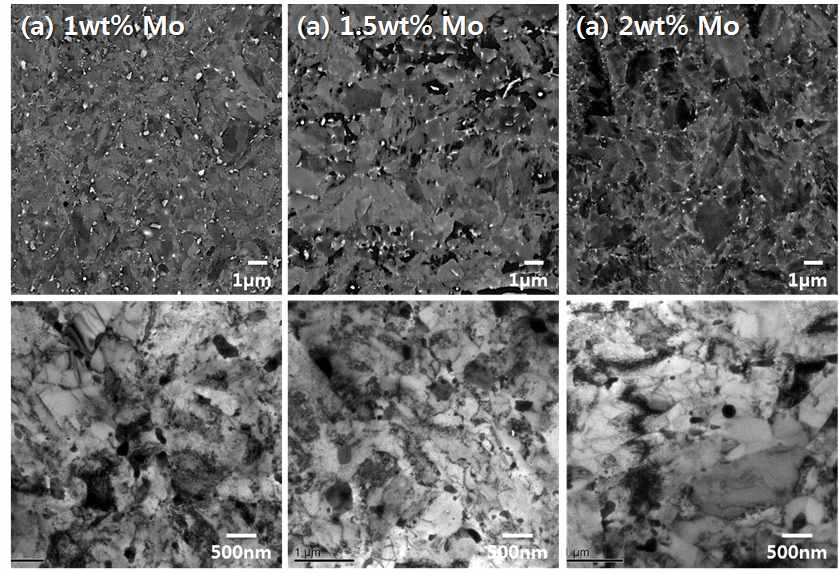 마르텐사이트계 ODS 신합금의 미세조직에 미치는 Mo 첨가량의 영향