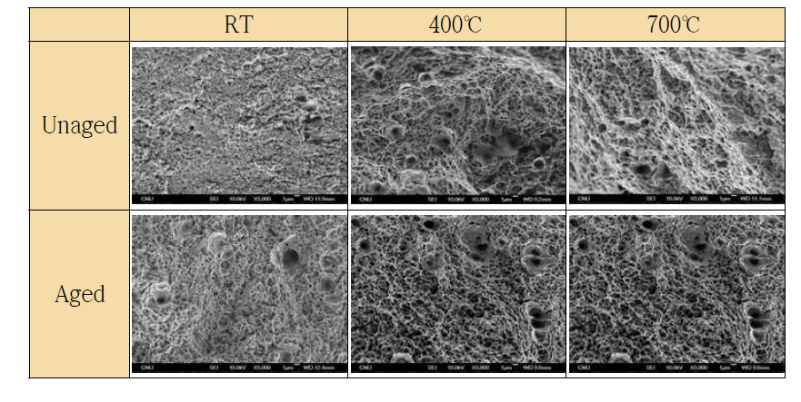 Fracture surface after tensile test for ODS51