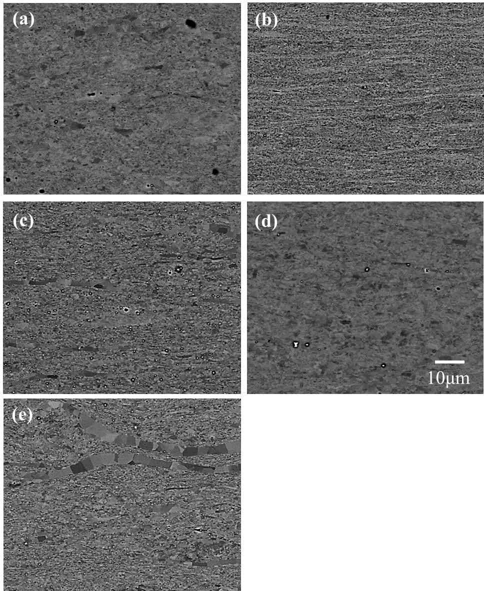 각 MA 조건에서 제조된 ODS 신합금의 미세조직: (a)240rpm/48h /Ar, (b)240 rpm/60h/Ar, (c)240rpm/48h /Ar-H2, (d)240rpm/ 48h/He, (e)160 rpm/48h/Ar