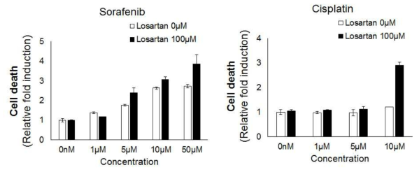 Losartan 전 처리에 의한 다세포성 종양 구상체의 약물 민감성 비교 분석