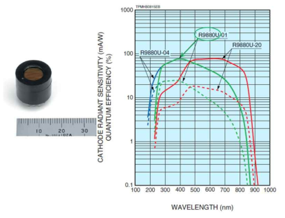 광증배관의 사진(좌)과 파장에 따른 특성 곡선(우)