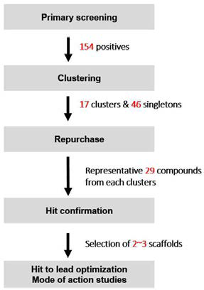유효물질 발굴 scheme.
