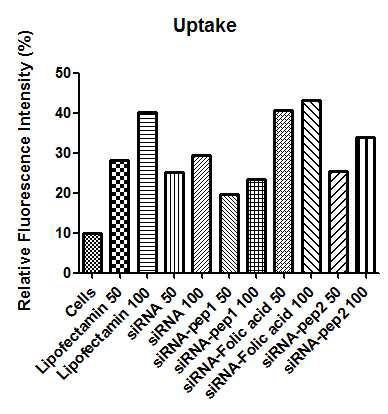 siRNA와 펩타이드, 소분자 물질의 접합체를 이용한 세포 흡수 효율 비교.