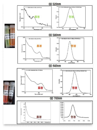 QD의 광학 특성 분석