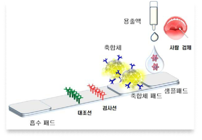 미세유체제어기술을 이용한 진단용 플랫폼