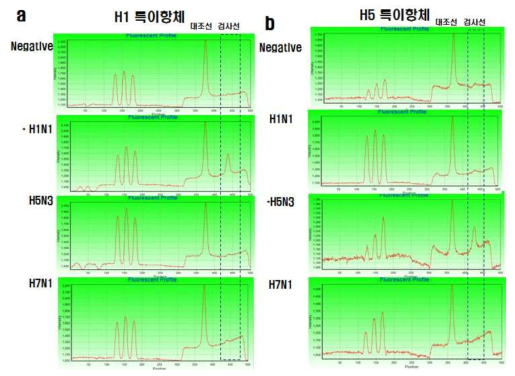 H1아형 특이 항체 및 H5아형 특이 항체와 형광체 축합체의 유용성 평가