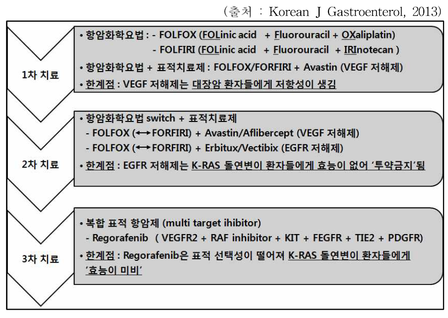 대장암 치료를 위한 표준치료제 개발 및 한계점