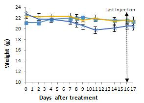 HCT116 Xenograft 모델에서 화합물에 의한 몸무게 변화