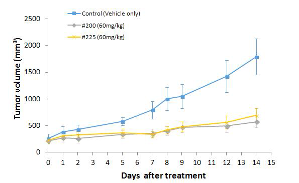 K-RAS 돌연변이 대장암세포주(LS513) Xenograft 모델에 대한 화합물의 in vivo 효능