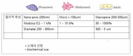 각 세포별 물리적 특성