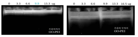 GO-PEI 합성과정에서 GO의 초음파 처리가 GO-PEI와 RNA의 결합에 미치는 영향.