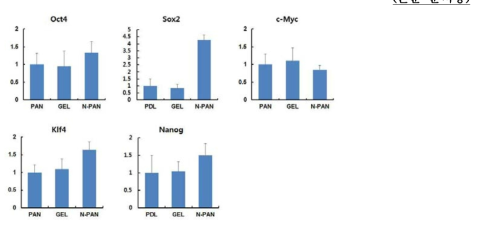 Real-time PCR을 이용한 줄기세포 마커 발현 확인