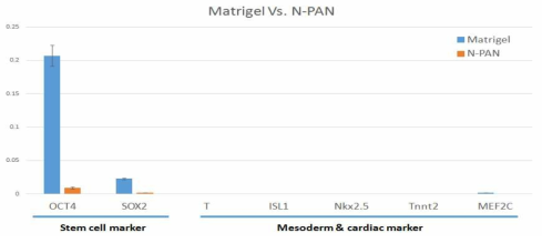 줄기세포전분화 마커 (Oct3/4, Sox2), 심근전구체 및 심근세포 표적인자 (Brachury T, ISLT1,NKX2.5, CnT, MEF2C)발현정도 분석을 통한 기존 ECM물질과 나노파이버 물질간의 줄기세포분화 유도 촉진성 분석.