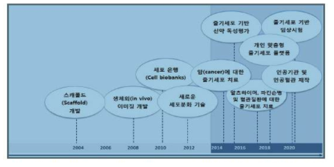 줄기세포 활용영역 전망