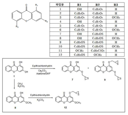 합성된 대표적 xanthone 계열 화합물들 및 SW15 (화합물 9에 해당) 활성 화합물 합성 도식도