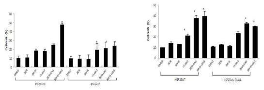SW15에 병용처리에 의한 17-AAG HSP90 저해제의 암세포 독성증진 효과