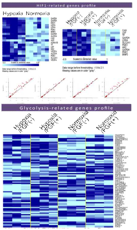 gene expression profile 결과에서 Hypoxia 상태에 의해 각 그룹은 HIF1, glycolysis 관련 유전자에 의해 발현 양 상이 구분됨.