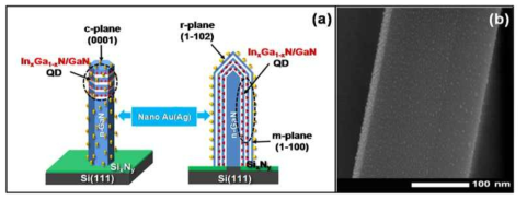 of Au(Ag) nano particle on coaxial InxGa1-xN/GaN NW-QD