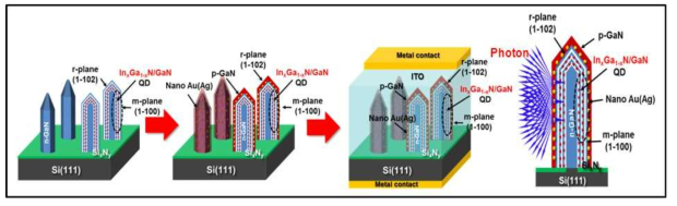 type InxGa1-xN/GaN NW-QD(MQW)-SP LED