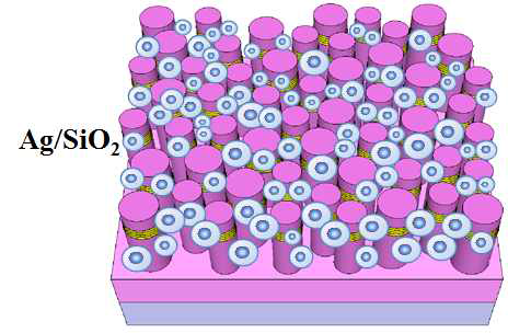 Ag/SiO2 나노입자가 삽입된 nano-pillar LED의 구조.