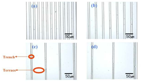 Results of the optical images by various pattern size after etching (Terrace×Trench)