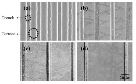 SEM image of GaN/Si(111) epilayer (Terrace×Trench).