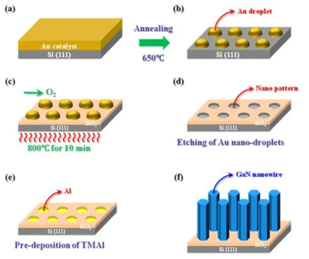 Nano-patterning processes on Si(111) by NDOE and growth of GaN NWs