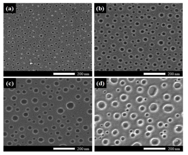 Top FESEM images of nano-patterns afer etching of Au.