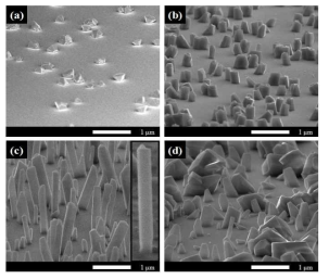 Tilted FESEM images of grown GaN NWs on each nano-patterns.