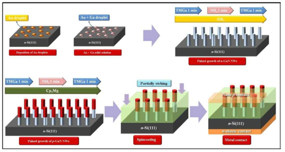 Schematics of processes for pn-junctioned GaN NW array diode