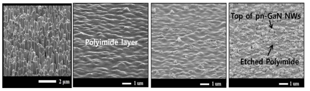 SEM images of each process steps for pn-junctioned GaN NW array diode