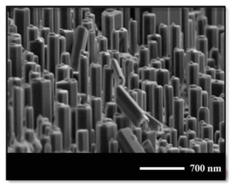 FESEM image of uniaxial InxGa1-xN/GaN MQW NWs