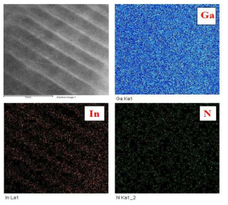 TEM EPMA analysis(mapping) of uniaxial InxGa1-xN/GaN MQW NW