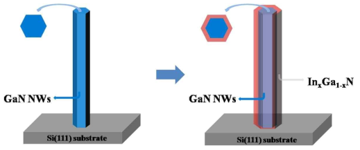 Schematics of coaxial InxGa1-xN/GaN single heterojuctioned NWs