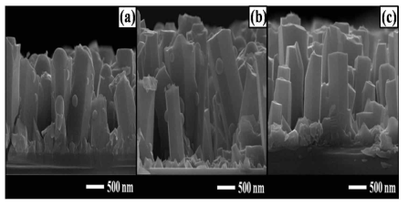 FESEM image of coaxial InxGa1-xN/GaN single heterojuctioned NWs grown with the variation of InxGa1-xN growth temperatures