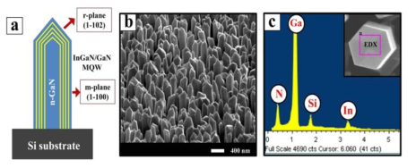 (a) Schematic, (b) tilt-view FE-SEM image, (b) EDX data, of coaxial InxGa1-xN/GaN/n-GaN NWs grown on Si(111) substrates.