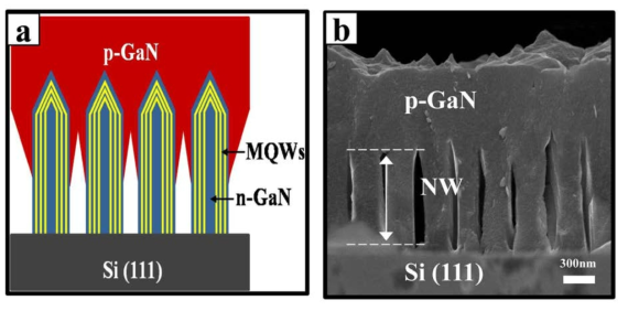 (a) Schematic of the LED device and (b) cross-sectional FE-SEM image of the LED device structure.