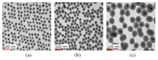 TEM images of Ag/SnO2 core-shell NPs synthesized with different contents of TEOS
