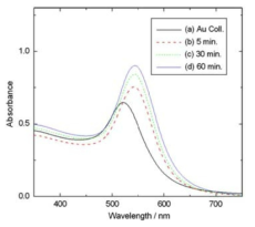 Uv-Vis. spectra of Au and Au/SnO2 NPs colloids with different reaction times.