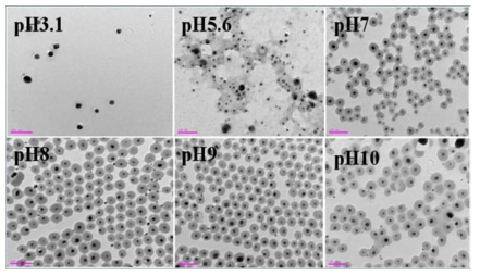 TEM images of Ag and Ag/SiO2 according to pH.