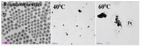 TEM images of Ag and Ag/SiO2 according to synthesis temperature.