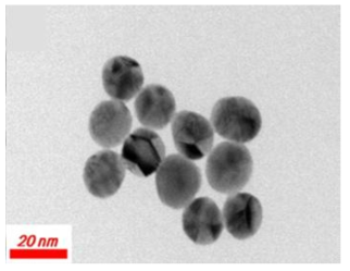 TEM images of Au nanoparticles.