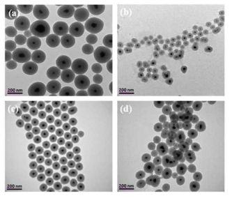 TEM images of Au/SiO2 NPs according to pH.